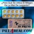 ¿Para Qué Se Utiliza El Milagro De La Miel De Leopardo 41